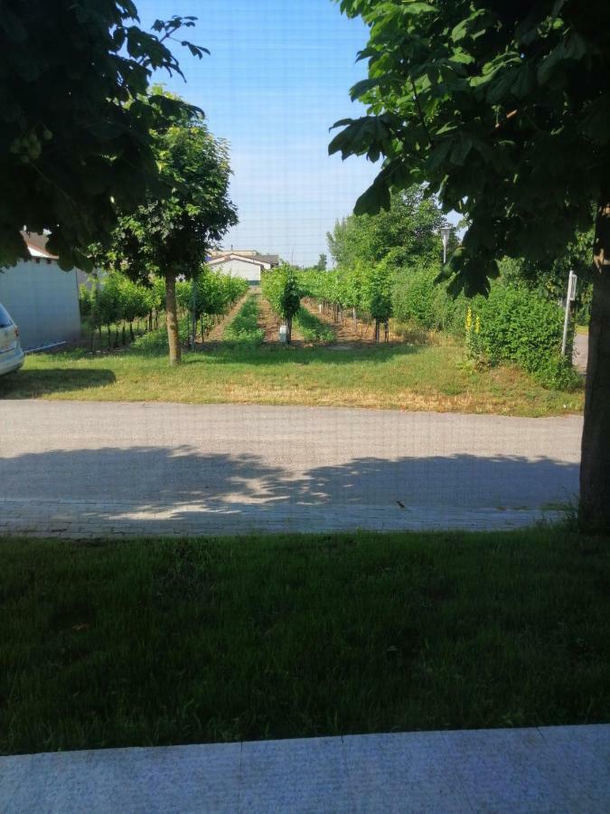 Campingblick-Gaestehaus-Ferienwohnungen Podersdorf am See Dış mekan fotoğraf